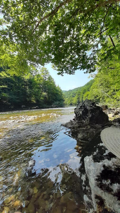 Kuca Za Odmor Forest Dream U Blizini Rijeke Kupe Plesce Esterno foto
