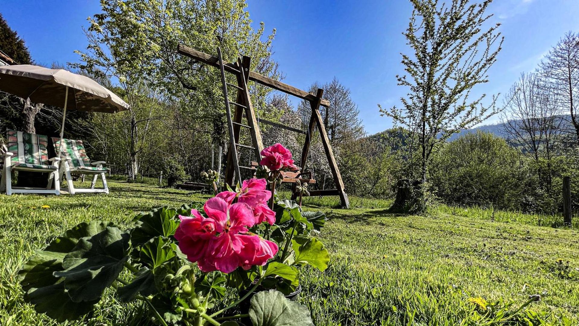 Kuca Za Odmor Forest Dream U Blizini Rijeke Kupe Plesce Esterno foto