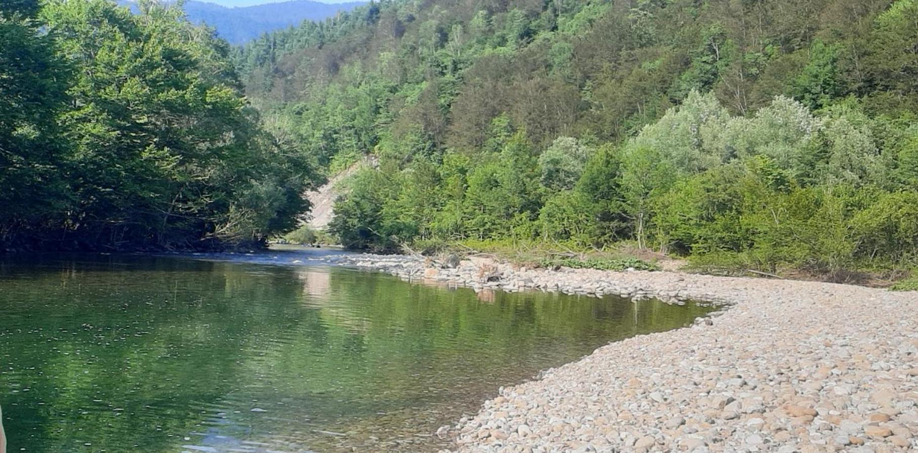 Kuca Za Odmor Forest Dream U Blizini Rijeke Kupe Plesce Esterno foto